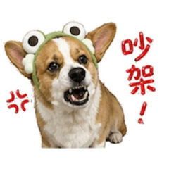 胖達達❤️搞笑