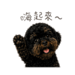 小咪日常第三彈✨