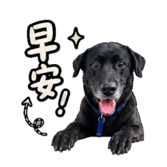 大頭與阿金