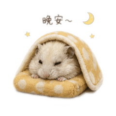 鼠餅今天也不想努力