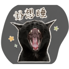 跳與拾