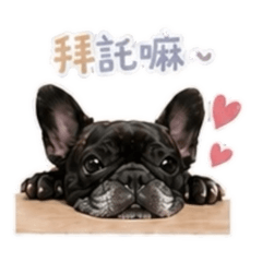 阿比比的生活日常