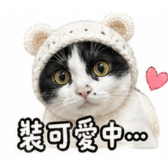 賓士貓 第一彈(o^^o)