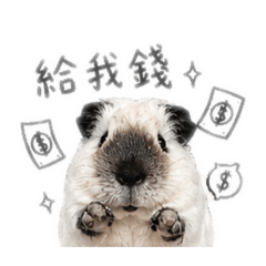 粉粿日常對話