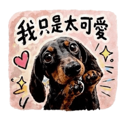 短毛臘腸（寶迪）