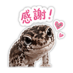 大可大可真可愛y