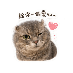 阿波寶貝
