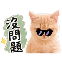 初八-男生版