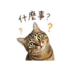 誒夢2