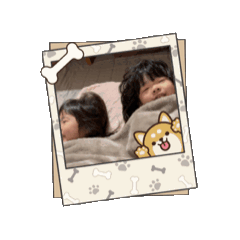 momo_20260516113448