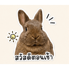 Maamayz_20260515231500