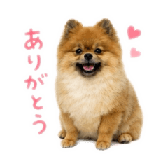 KUMA_20260513012518
