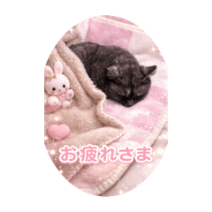 kimimr_20260503103422