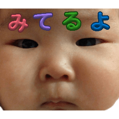 mai_20260513033845