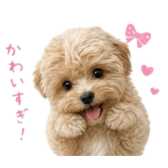 kinako_days