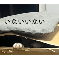 meroko_20260513042955