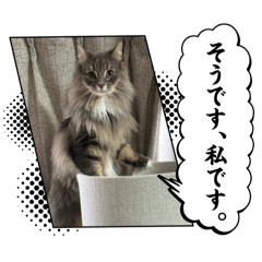 Kakupi_stamp2