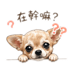 我是可愛的豆豆2.0