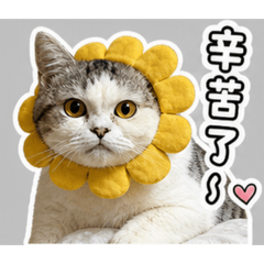小花報備系列