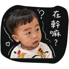 楊J小弟