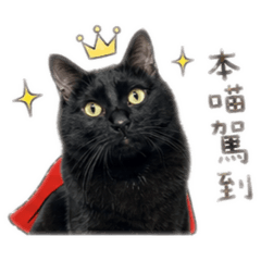 R NEOW 日常
