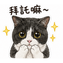 Q版萌寶寶