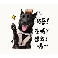 黑糖日常^_^
