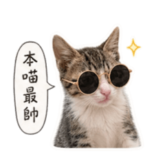 怪怪怪怪的日常