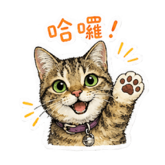 阿寶日常用語（Q版）