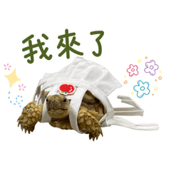 哇係徐阿來