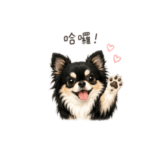小短腿ㄉㄟˇ