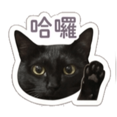 一隻黑貓叫沒牙