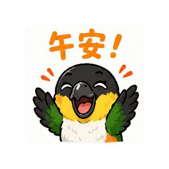 鳥主子麻吉：伺候得好嗎？（黑頭凱克鸚鵡）