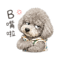 灰貴賓厭世語錄2