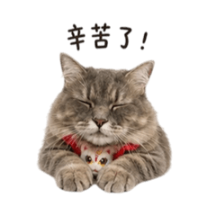 KiWi生活