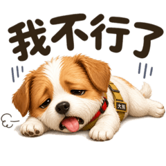一狗兩狗三狗