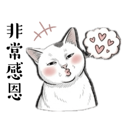 Cat-dot dot❤️