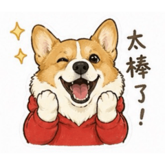 妮可基