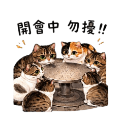 本喵咪來Ya