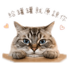恭喜貼圖