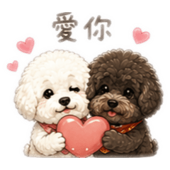 Mimi與Q比。比熊&灰貴賓