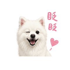 迷魯日常