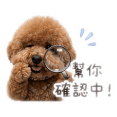 貝貝小幫手
