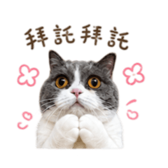 我是雪寶，雪寶是我2