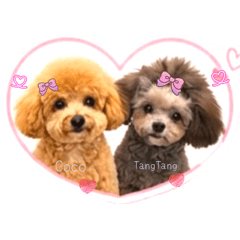 Coco&糖糖