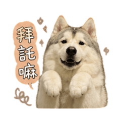誰欺負我了啦