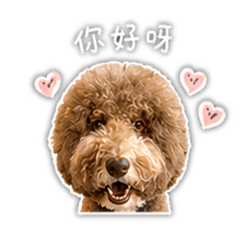 標貴呆呆