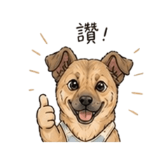 小初狗