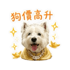 嘴嘴在幹嘛：富貴逼人拆家狗