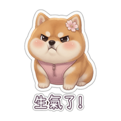 橘柴日常表情包